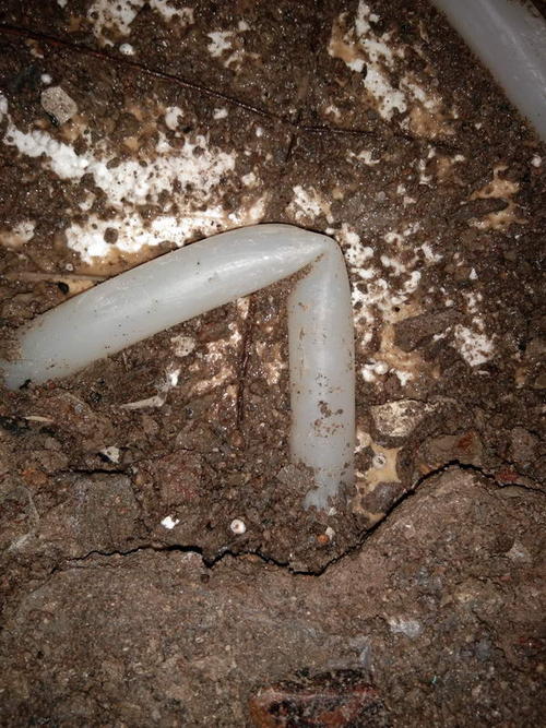 什邡堵点精准查找